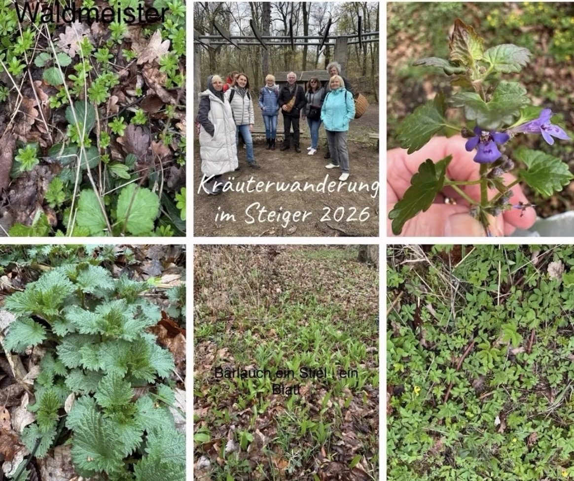Unterwegs auf Kräuterwanderung im Erfurter Steiger
